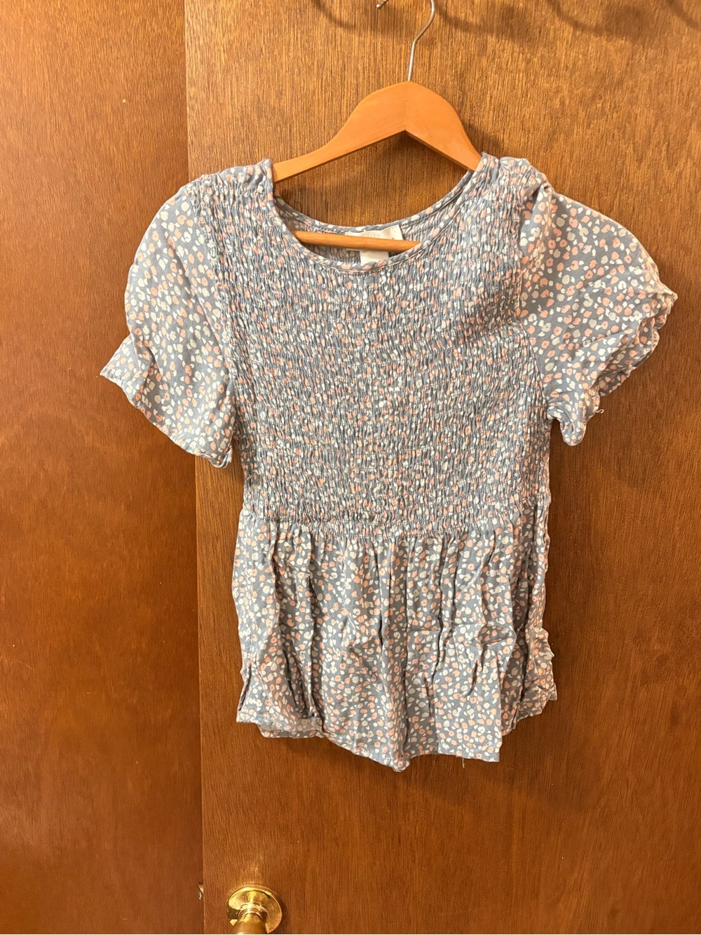 Women's Blue and Pink Floral Rayon Sleep Dress(npt)